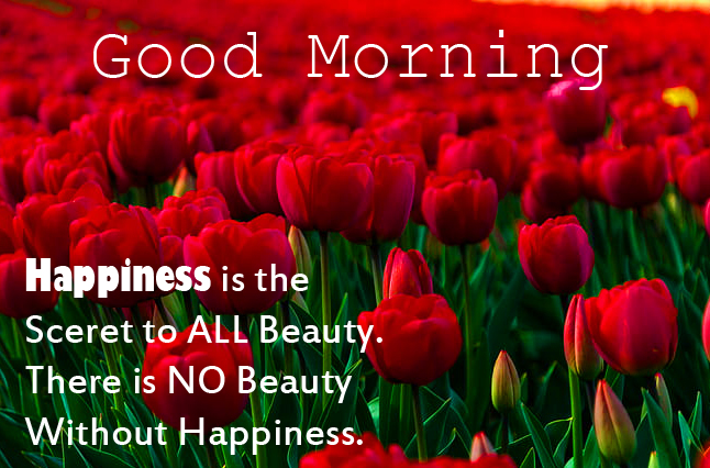 Red Tulips with Good Morning Happiness Message Image