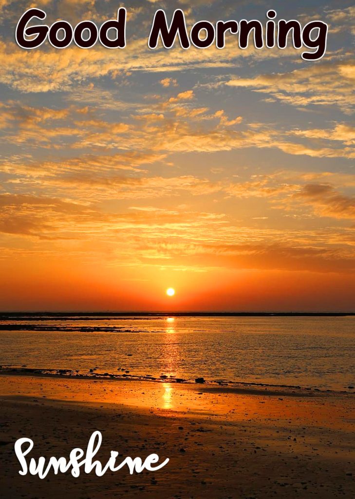 Sea Sunrise Good Morning Sunshine Picture