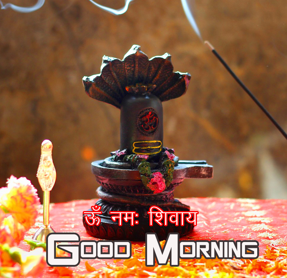 Shiv-Ling-Om-Namah-Shivaya-Good-Morning-Image