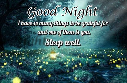 Sleep Well Good Night English Quote Photo