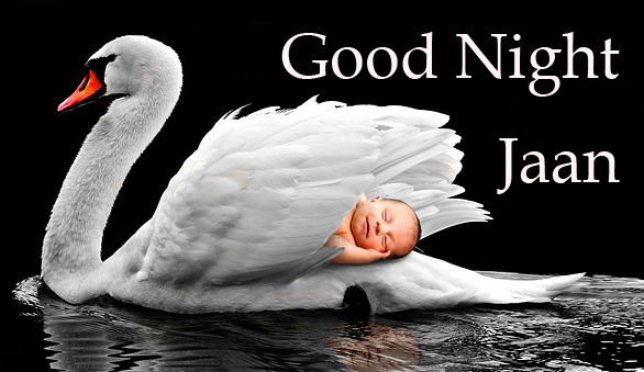Sweet-Good-Night-Jaan-Image