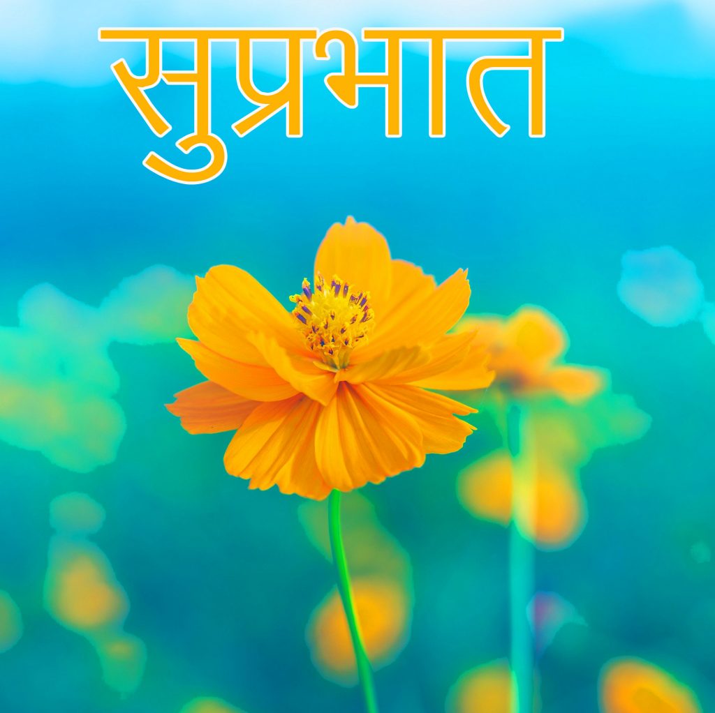 Yellow-Flower-Suprabhat-Pic