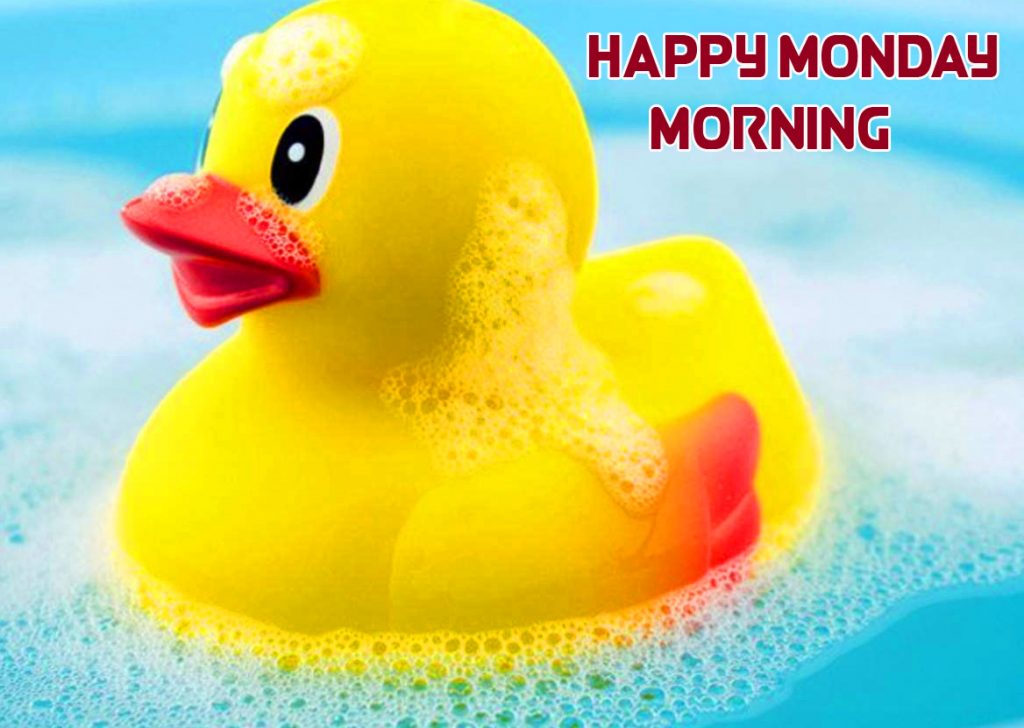 Adorable Latest Duck Happy Monday Morning Image
