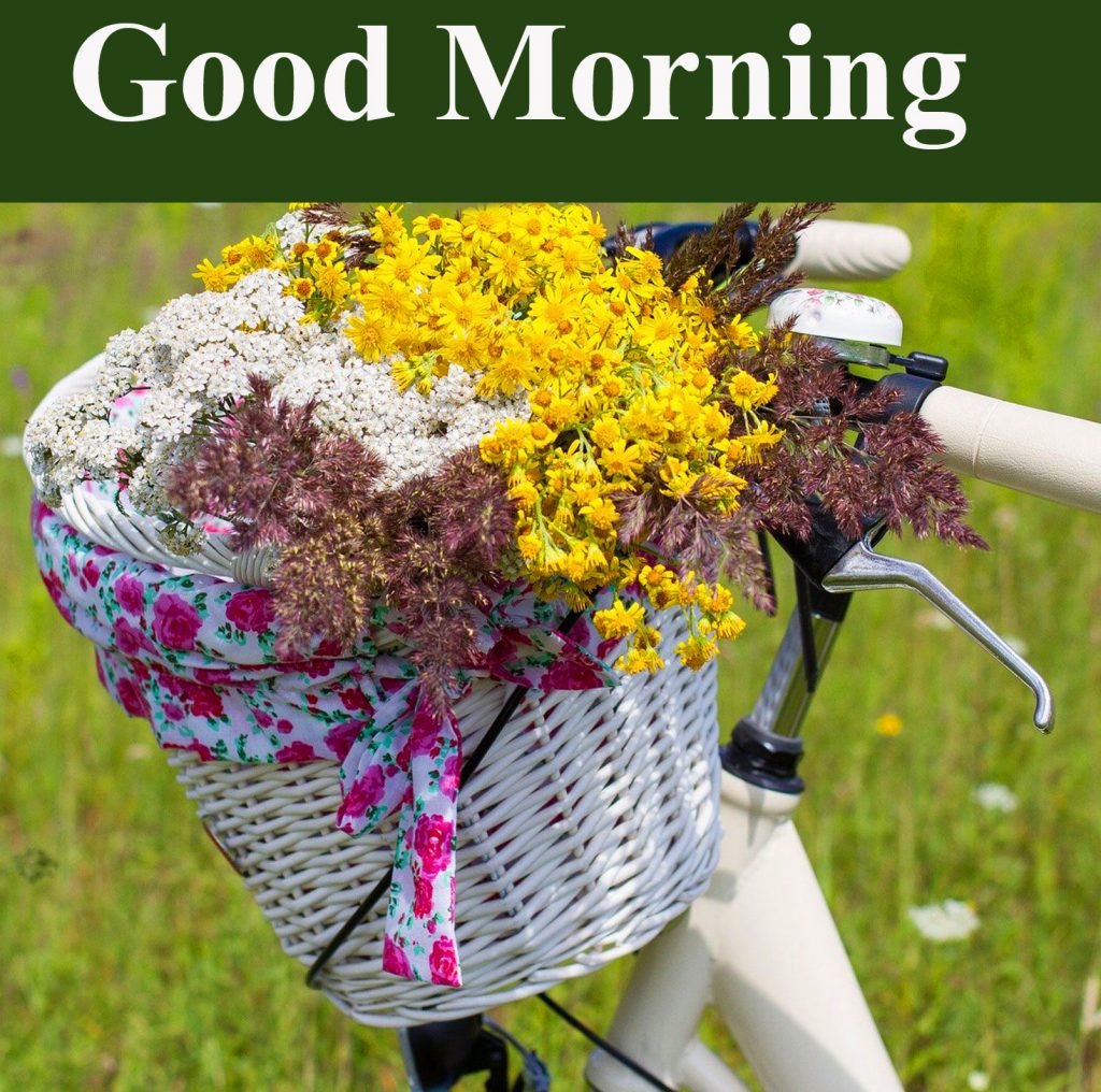 Best Good Morning Wish with Flowers