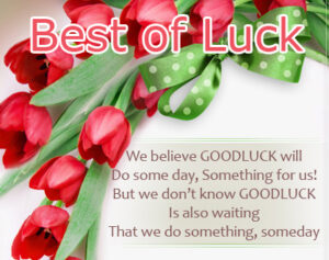 36+ Good Luck Images Free | Good Luck Free Images | Good Luck - Good ...