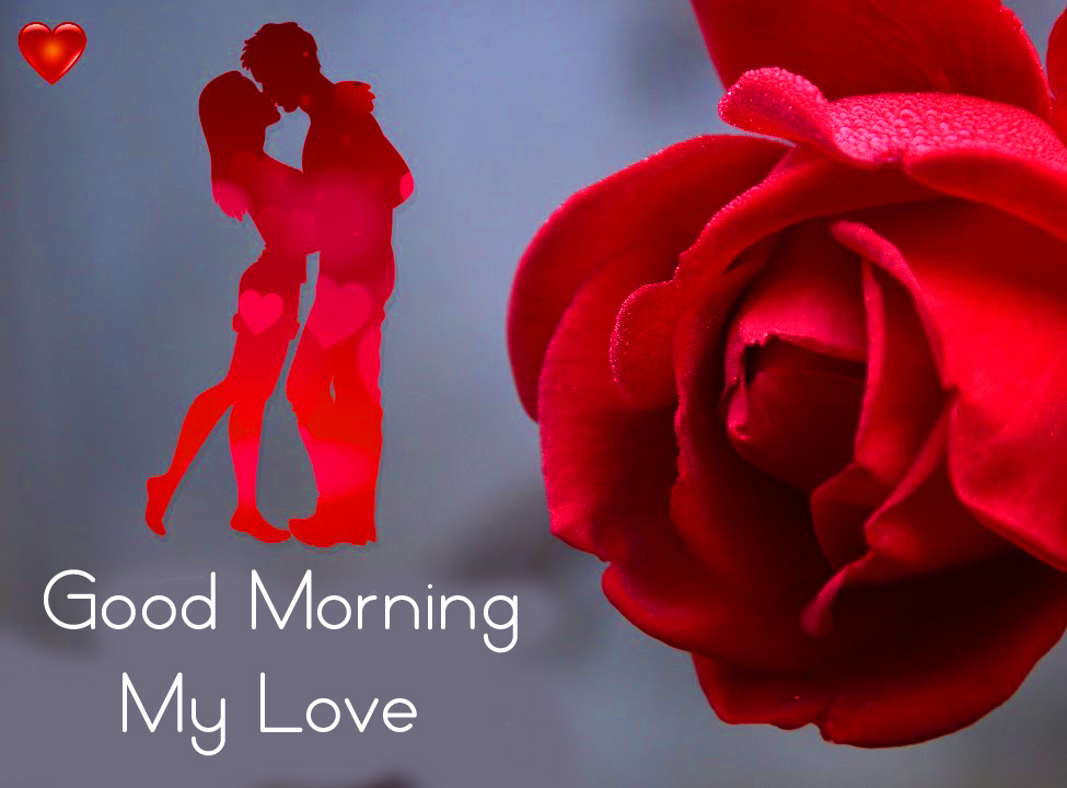 Couple-Romantic-Red-Rose-Good-Morning-My-Love-Image