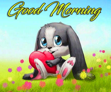 Cute Bunny Animated Good Morning Image