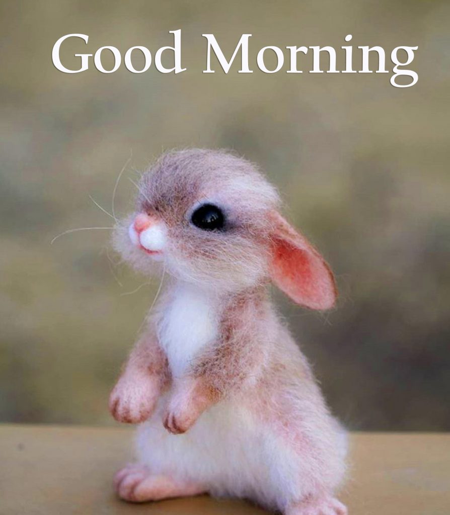 Cute Rat Good Morning Photo