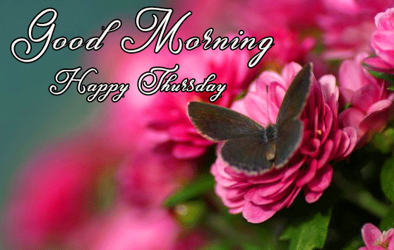 Dark Flowers Good Morning Happy Thursday Wallpaper