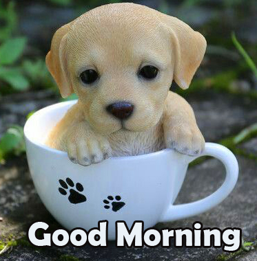 Dog in Cup with Good Morning Wish