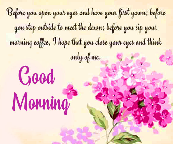 Flowers Good Morning Message Wallpaper