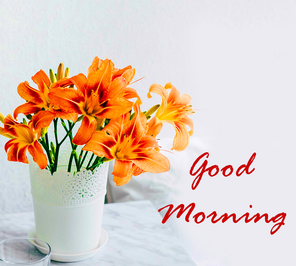 Flowers Pot Good Morning Image