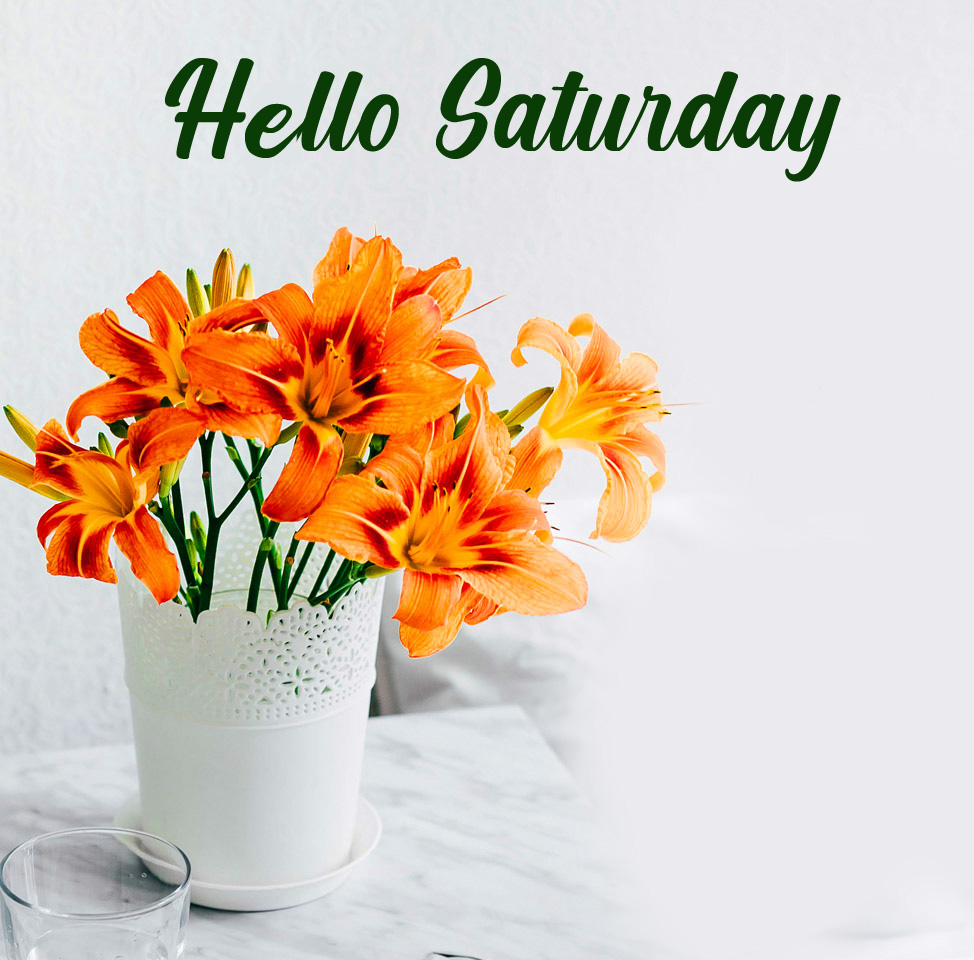 Flowers-Vase-Hello-Saturday-Image