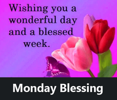 Flowers-with-Monday-Blessing-Wishing