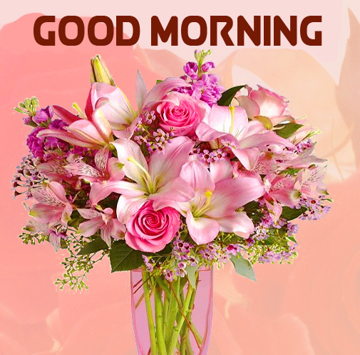 Flowers Vase Good Morning Image