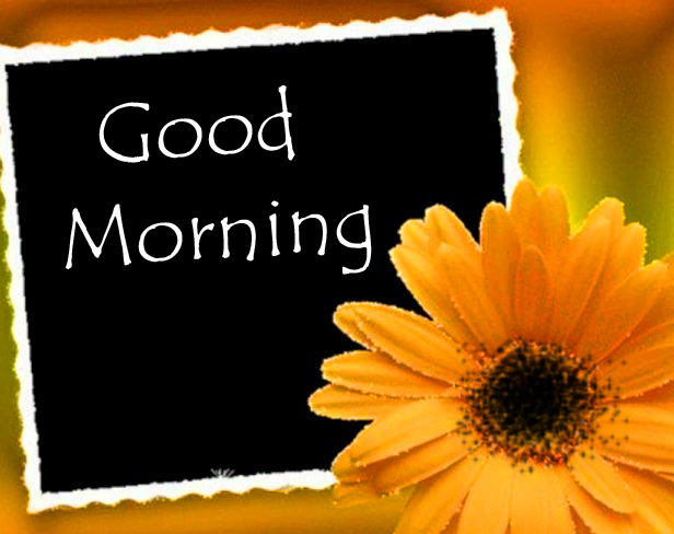 Gerbera with Good Morning Card