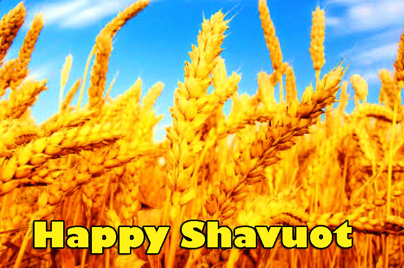 Golden Wheat Happy Shavuot Pic