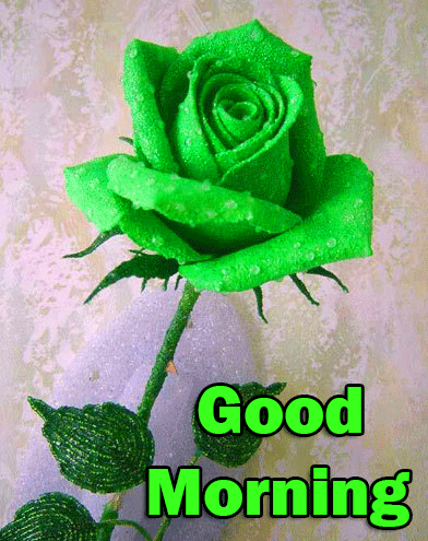 Good Morning Artificial Dyed Green Rose Image