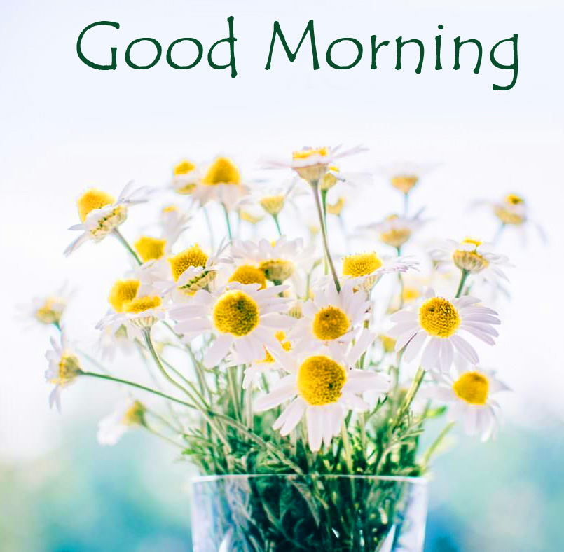 Good Morning Flowers Wallpaper