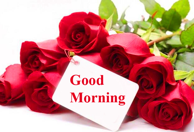 Good Morning Greeting Card Image