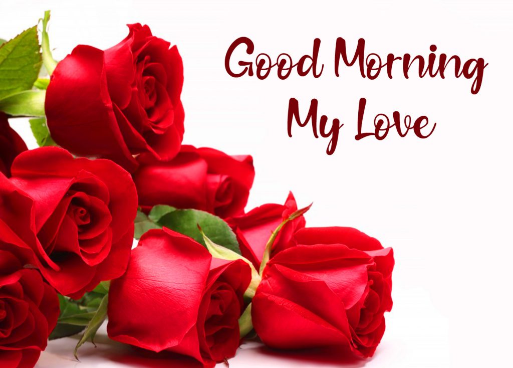 Good-Morning-My-Love-Red-Roses-Image-