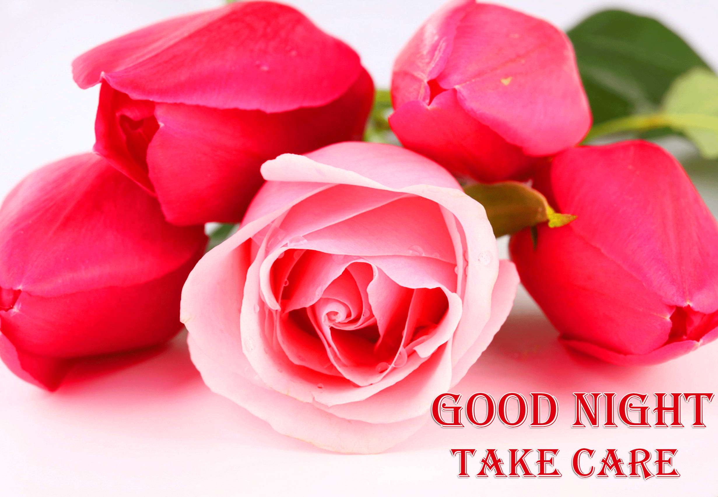 Good Night Take Care Red Roses Images HD