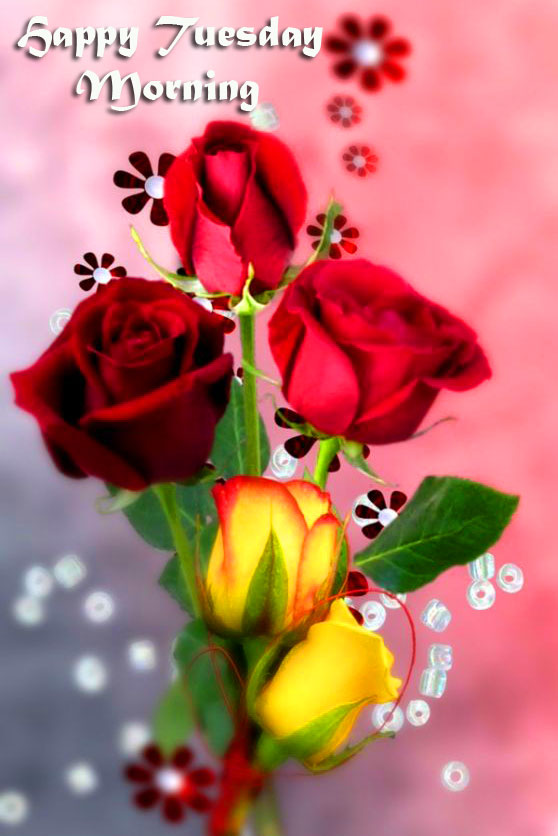 HD-Red-Roses-Happy-Tuesday-Morning-Photo