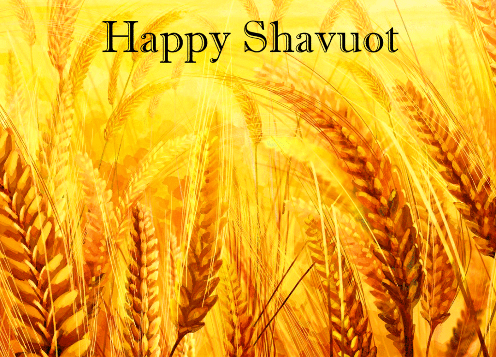 HD Sunlight Wheat Happy Shavuot Image