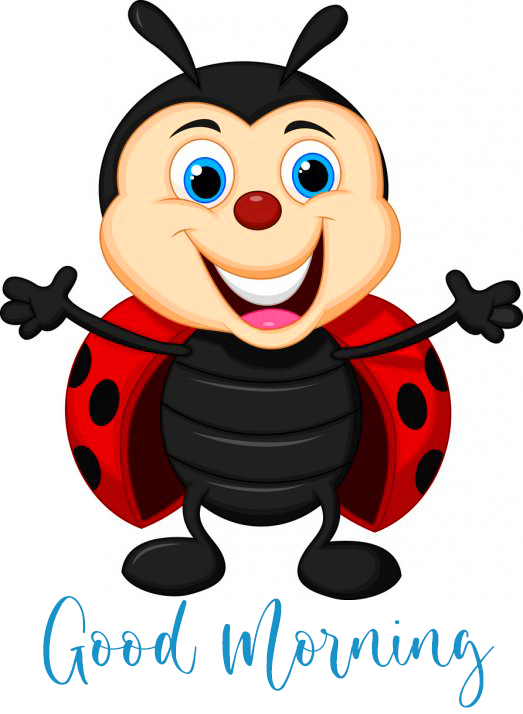 Happy Bee Animated Pic with Good Morning Wish