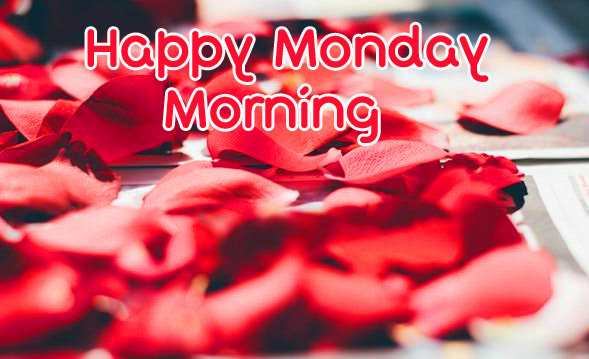 Happy Monday Morning Red Rose Petals Picture