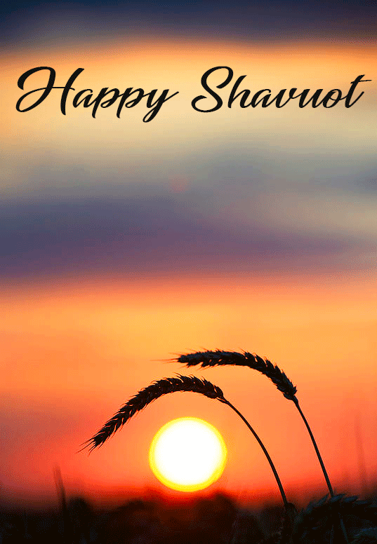 Happy Shavuot Sunrise Wheat Image HD