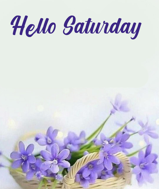 Hello-Saturday-Blue-Flowers-Basket-Image
