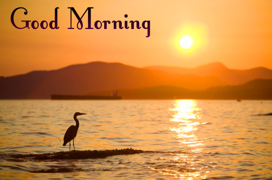Latest Sunrise HD Good Morning Picture