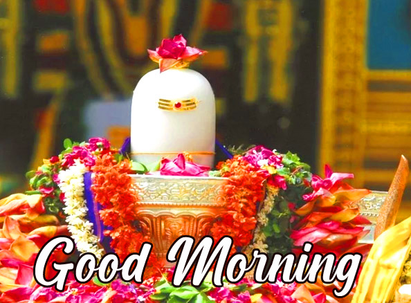 Mahadev Shivlinga with Flowers and Good Morning Wish