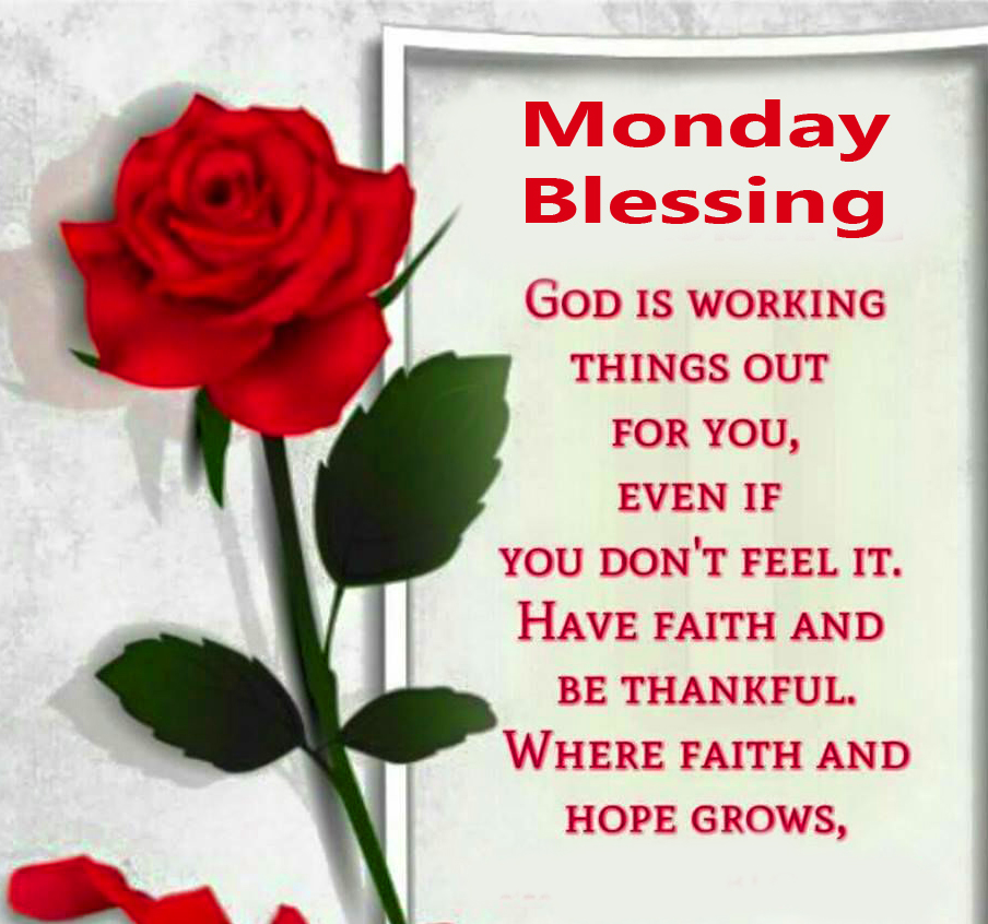 Monday-Blessing-Message-with-Red-Rose