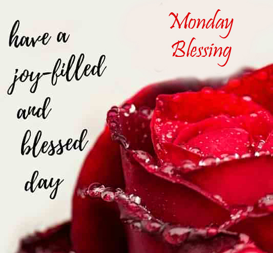 Monday-Blessing-Rose-Image