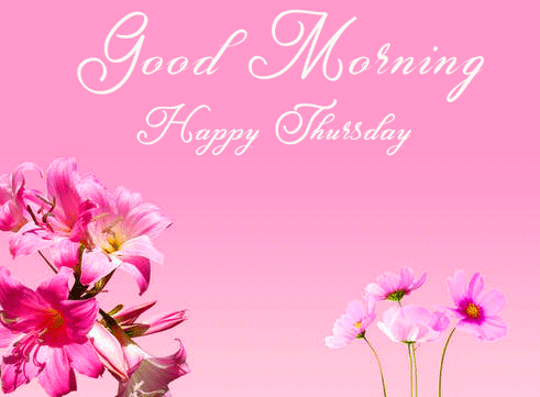 Pink Flowers HD Good Morning Happy Thursday Wallpaper