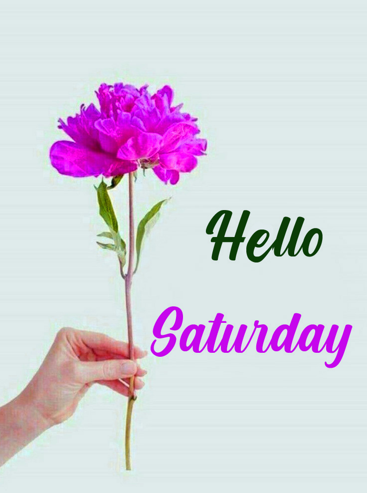 Purple-Flower-Hello-Saturday-Image