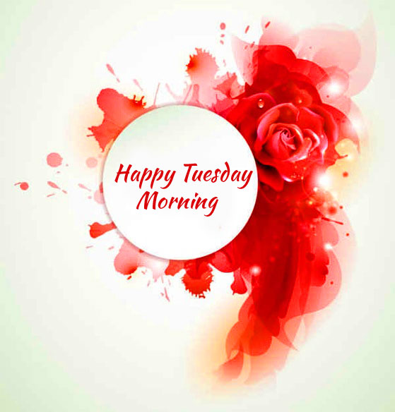 Red-Happy-Tuesday-Morning-Flower-Wallpaper