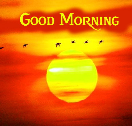 Sun Good Morning Picture HD