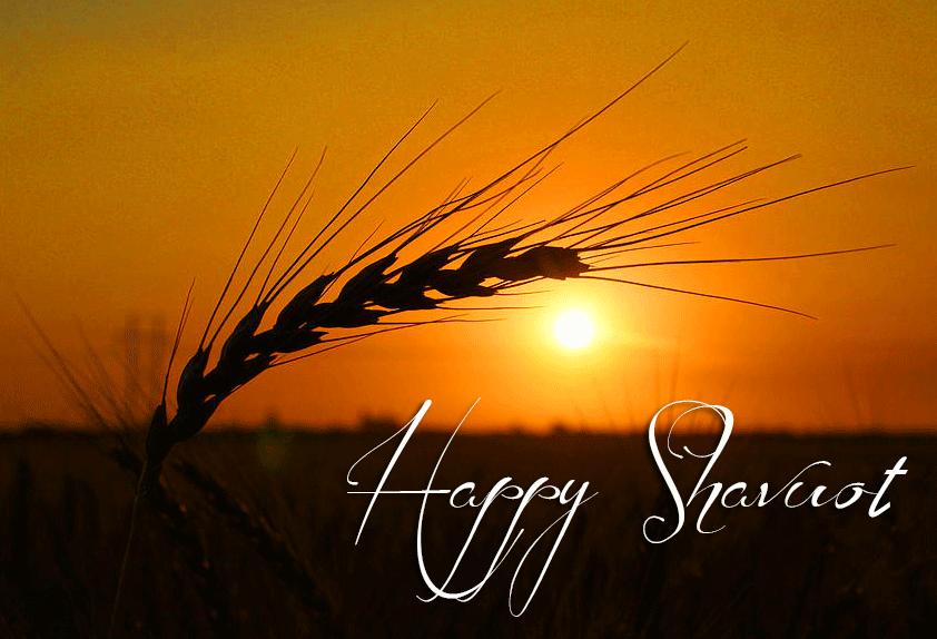 Sunrise Wheat Happy Shavuot Picture