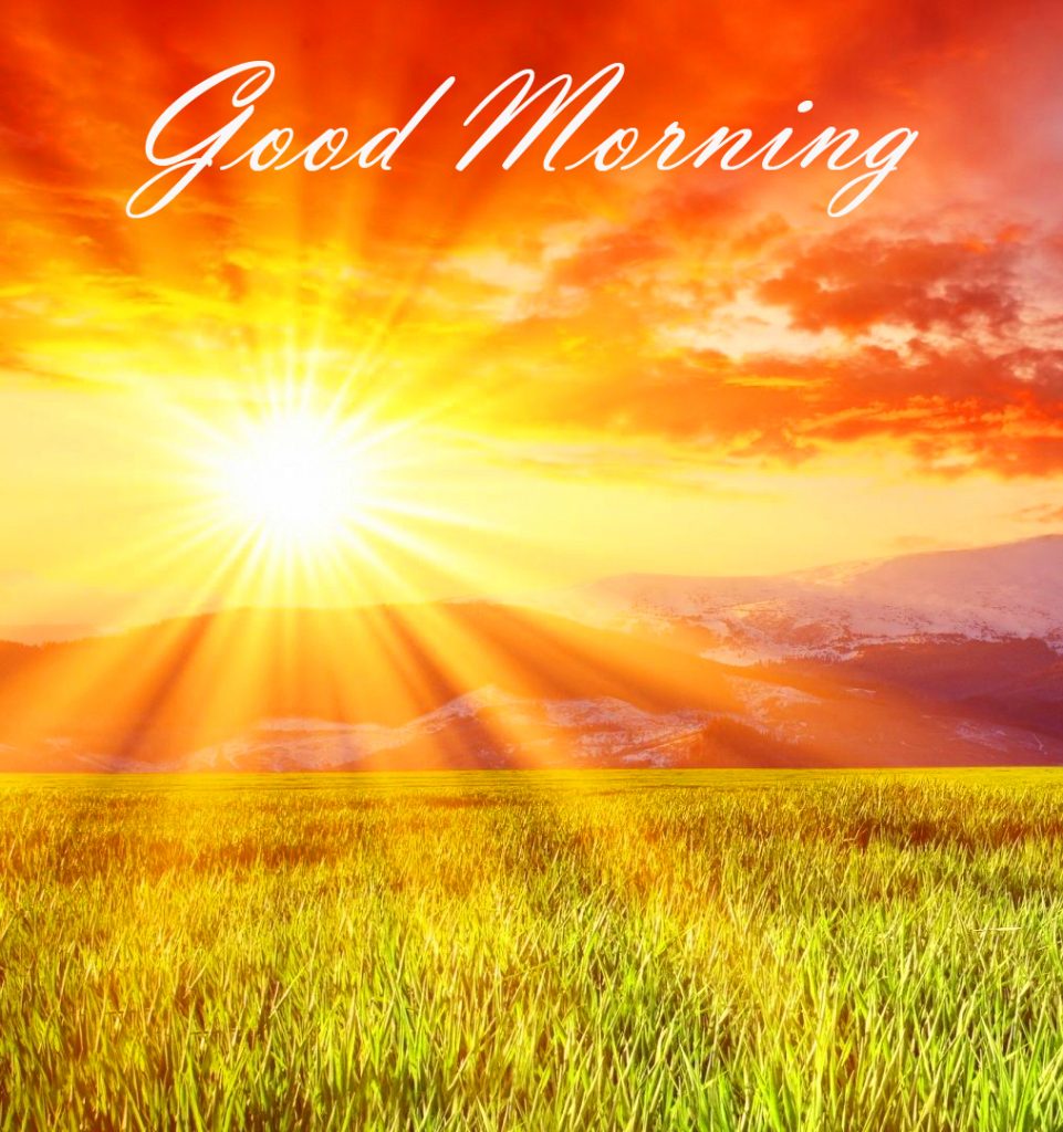 Sunshine Good Morning Image