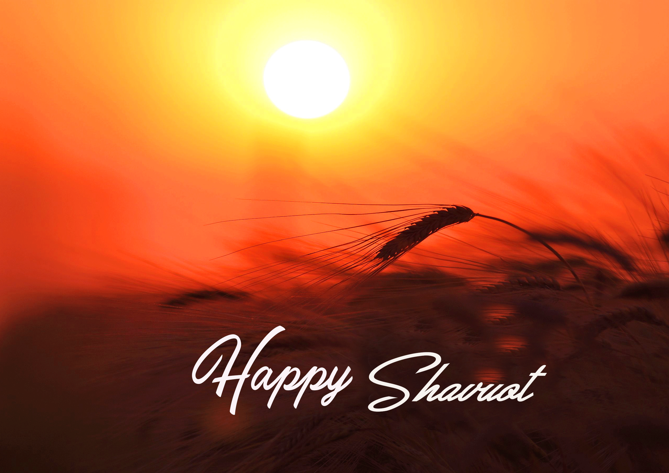 Sunshine Happy Shavuot Image HD