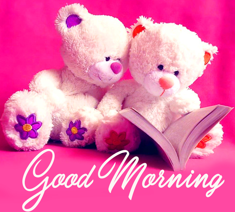 Teddy Bear Cute Good Morning Picture