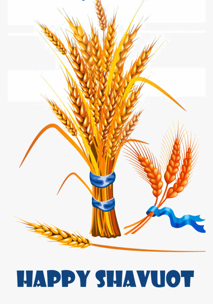 Wheat Happy Shavuot Wallpaper