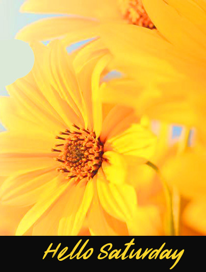 Yellow-Flowers-Hello-Saturday-Image