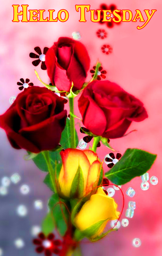 Roses-Flowers-Hello-Tuesday-Image