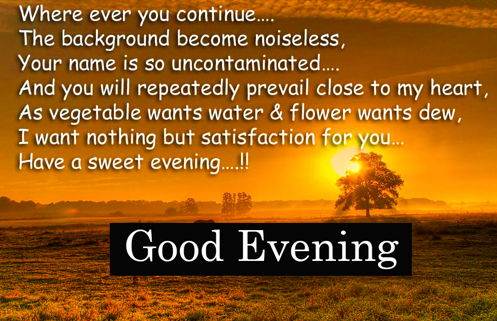 Have a Sweet Evening Quote