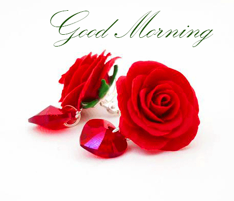 Red Roses Good Morning Picture