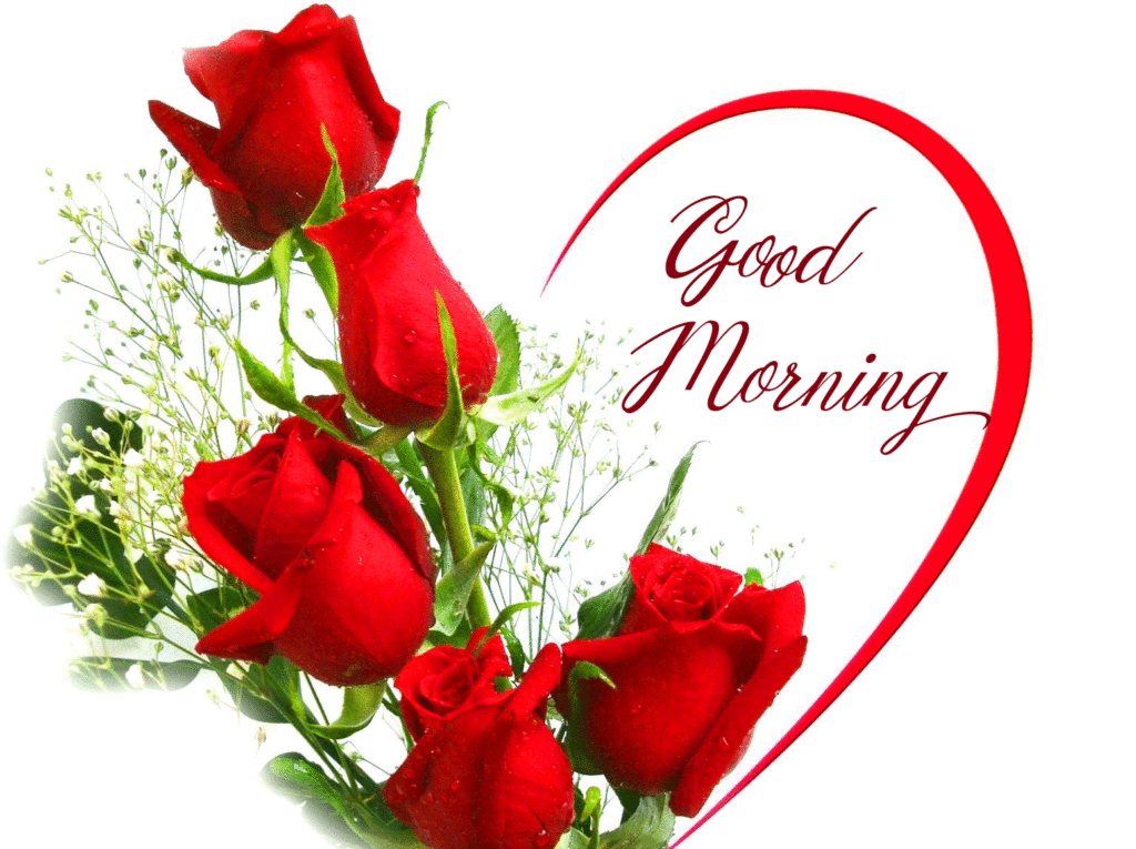 Red Roses Love Heart Good Morning Image